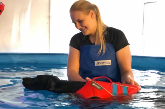 Therapeutisches Hundeschwimmen